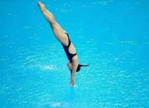 世界杯跳水錦標賽